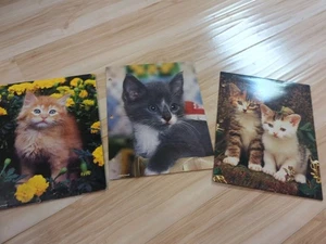 3 Cuddly Cuties Vintage School Folder Two Pockets 3 Holes Mead 1996  - Picture 1 of 15