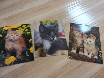 3 Cuddly Cuties Vintage School Folder Two Pockets 3 Holes Mead 1996  - Image 1 of 4