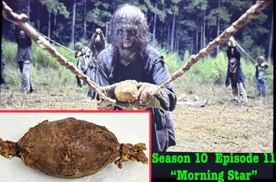 The Walking Dead utilería usada Whisperer Sap Bomb Box #536 Foto 1 de 4