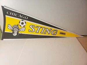 80er Jahre MISL North American Soccer League Chicago Stachelwimpel Bienenfilz - Bild 1 von 8