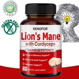 Hongo melena de león + extracto de Cordyceps: apoya la salud nerviosa y ayuda a la digestión - Imagen 1 de 16
