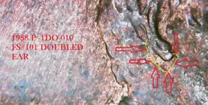 1988 P LINCOLN CENT "DOUBLED EAR" 1DO-010 FS#101 IN THE CHERRYPICKERS GUIDE - Picture 1 of 7