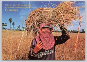 Postcard Life in the Countryside Kampong Cham Province Cambodia - Rice Harvest - Picture 1 of 2