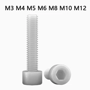 M3 M4 M5 M6-M12 White Nylon Plastic Allen Hexagon Hex Socket Cap Head Screw Bolt - Picture 1 of 9