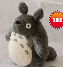 totoro | eBay