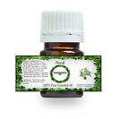 100% PURE NATURAL AZADIRACHTA NEEM ESSENTIAL OIL 5 ML TO 100 ML FROM INDIA