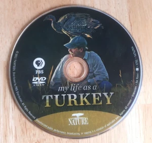 Natur: Mein Leben als Türkei DVD PBS - Nur Disc. - Bild 1 von 1