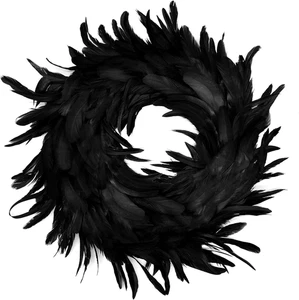 Corona de plumas naturales negras de 13,5" para decoraciones de Halloween - Imagen 1 de 11
