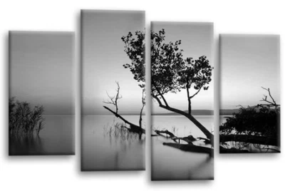 Floral Landscape Sunset Art Print Black White Framed Split Canvas Picture  - Image 1 of 4
