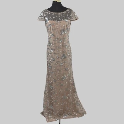 CALVIN KLEIN Embroidered Blush Pink Gown sz 4 Floor Length Dress Cap Sleeve Prom - Image 1 of 4