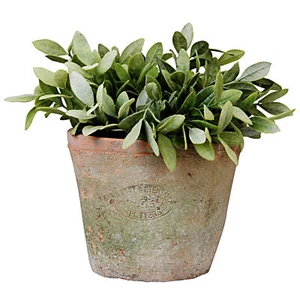 12 CM Alto Invecchiato Terracotta Vaso per Fiori Fioriera Pentola A Tondo Piante - Bild 1 von 3
