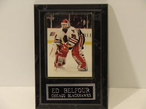 NHL, Ed " The Eagle" Belfour" # 30, 5"x7" Plaque Cover