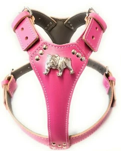 Cute Deep PInk Leather Dog Harness Large with English Bulldog Badge - Picture 1 of 1
