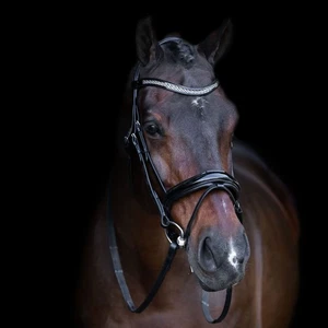 Imperial Riding Trensenzaum Englisches Reithalfter black-crystal mit Strass Stir - Picture 1 of 5