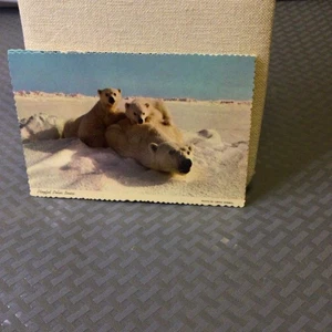 SET OF VINTAGE ALASKA POSTCARDS - Picture 1 of 12