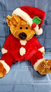 2006 Weihnachten Zuckerhut Coinstar Santas Teddybär FS - Bild 1 von 10