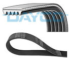 Fits Dayco Day5pk1650 V-Ribbed Belt De Stock