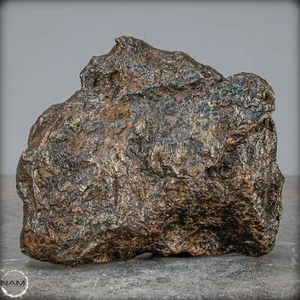 Natürlicher Sehr Großer Meteorit Campo Del Cielo, Argentinien - 2572,53g - Picture 1 of 10