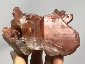 Red Quartz Crystal Cluster Point Morocco 14.3oz N40 - Picture 1 of 12