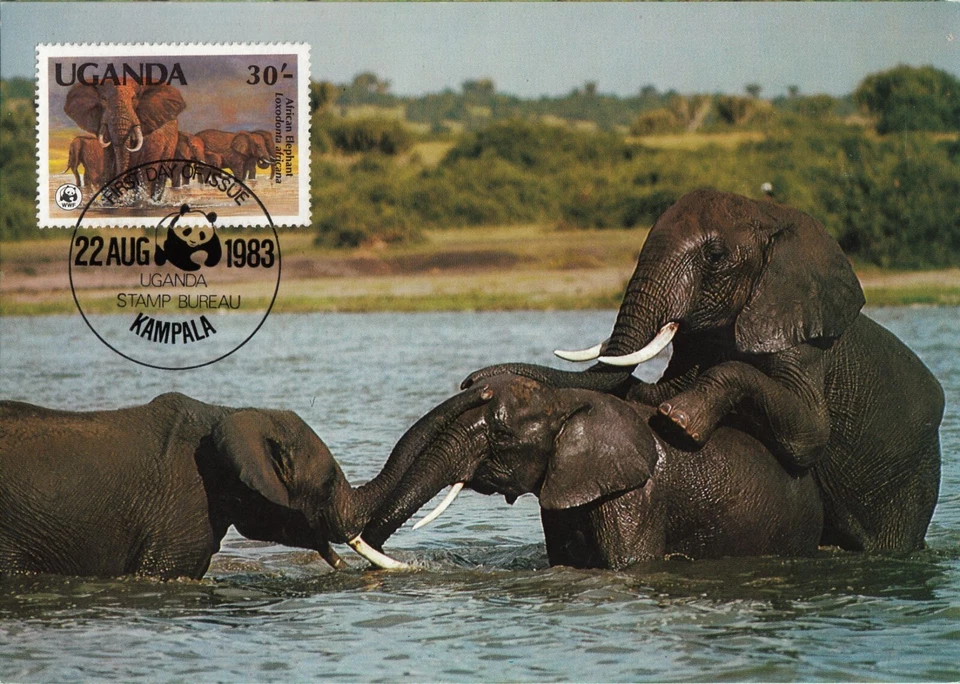 Elephants Make Love in Water Animal Erotica Uganda Kampala Mint FDC Card 1983 - Image 1 of 1