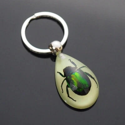 Luminous Real Insect Bug Beetle Glowing Keychain Glow in Dark Tear Drop Shape - Image 1 of 4