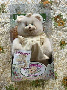 Fisher Price Briarberry Collection Berryjane Plush Bear 90's Toy Vtg - Picture 1 of 3