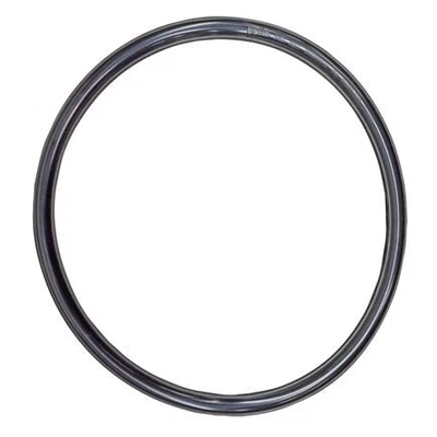 Junta Betts Hd 3119BN Paf9000 10" Pres Rel Vlv Foto 1 de 4