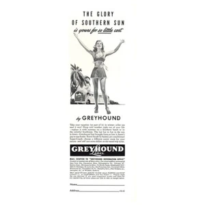 1940 Greyhound: Glory of Southern Sun Vintage Print Ad - Bild 1 von 1
