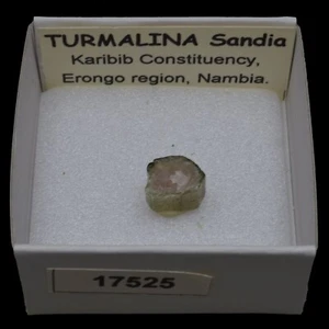 TURMALINA Sandia (Karibib, Erongo reg., Namibia) #17525 / Watermelon Tourmaline - Bild 1 von 1
