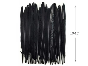 10 Stück - schwarze Gänsespitzen lange Primaries Flügelfedern Kostüm Engel - Bild 1 von 12