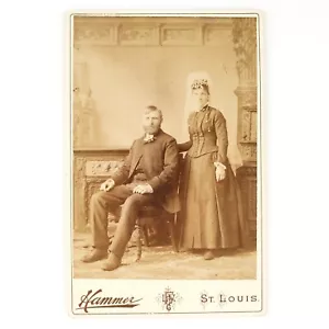 Retrato de tarjeta de gabinete de pareja recién casada c1885 St Louis MO novia y novio por Hammer - Imagen 1 de 2