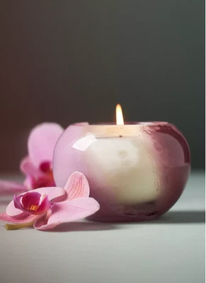 Vela de vidrio de lavanda y musgo salado leñoso Anthropologie The Loved 7,9 oz-NUEVA EN CAJA Foto 1 de 4