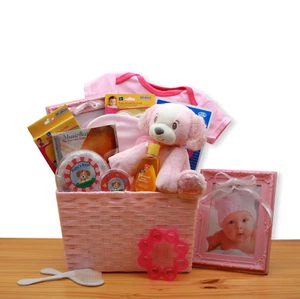 Puppy Love New Baby Gift Basket - Plush Essentials for Baby Girl - Picture 1 of 1
