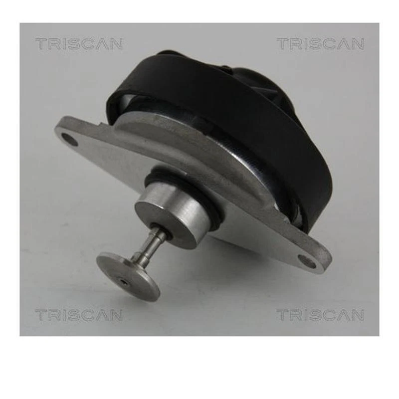 Triscan 8813 24202 Válvula AGR Para Opel Vectra B CC J96 Vectra B Caravan J96 - Imagen 1 de 1