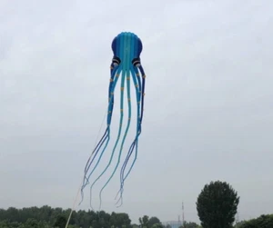 new 3D eyes 23m blue 1 Line Stunt Parafoil Octopus POWER Sport Kite outdoor toy - Picture 1 of 3