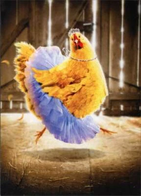 Chicken in Tutu Funny Birthday Card - Greeting Card by Avanti Press