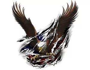 Auto Wrap Vinyl Boat Car Truck Graphics Decals Stickers Wrap Eagle Flag USA 25” - Bild 1 von 2