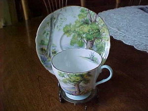 SHELLEY WOODLAND MUSTER MIT BLAUEM BESATZ TASSE UND UNTERTASSE - Bild 1 von 8
