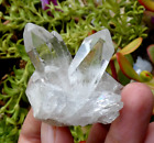 Beau Groupe Quartz cristallins 4.5x4.5cm cristal de roche Minéraux pierre reiki