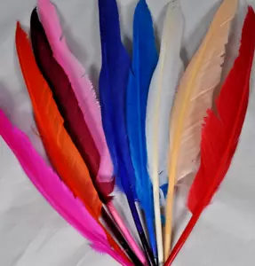 Schreibfeder Kugelschreiber ca. 32 cm echt Gänsefeder Feder Deko Hochzeit LARP - Bild 1 von 2