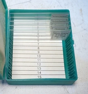 Präpariertes Objektträger-Set, Mikrobiologie/Genetik, 5 Objektträger, Neu! - Bild 1 von 2