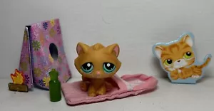 Littlest Pet Shop~#300~Kitty Cat~Orange Striped~Teal Dot Eyes~Sleeping Bag - Picture 1 of 18