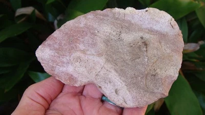 精美超级彩色刀片佐治亚州佛罗里达箭头 ~122 ~ — 第 1/3 张图片