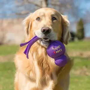 KONG Wubba Cane Giocattolo da masticare Durevole Duro Duraturo Aggressivo Cani da masticare - Foto 1 di 7