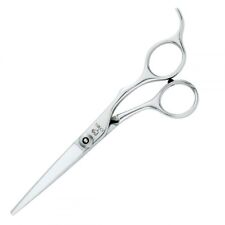 Joewell Z II Series Hairdressing Scissors 6.0