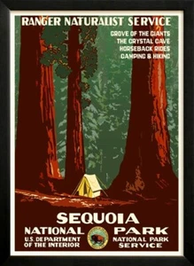 Sequoia Nationalpark Retro Poster 30er Jahre WPA individuell gerahmt - Bild 1 von 3