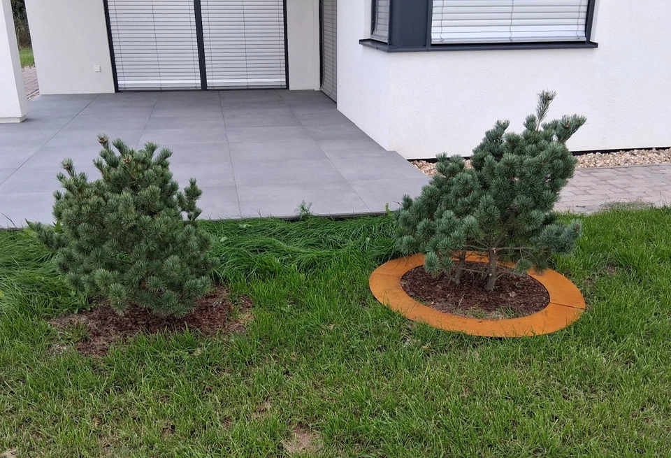 ISS-KOHLI Flacher Baumring Baumumrandung Pflanzring Kreis rund Edelrost ähl. Cortenstahl