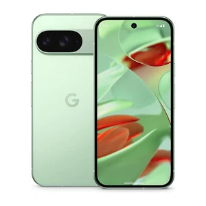 Google Pixel 9 5G Smartphone 128 GB Wintergreen "Gratis Versand" - Bild 1 von 5