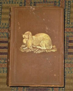 RARE 1870s The Practical Rabbit Keeper 1st edition amazing steel cut engravings! - Picture 1 of 8