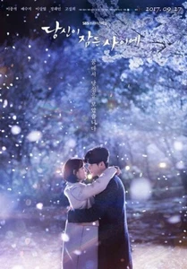While You Were Sleeping NEW Korean Drama - GOOD ENG SUBS - Picture 1 of 1